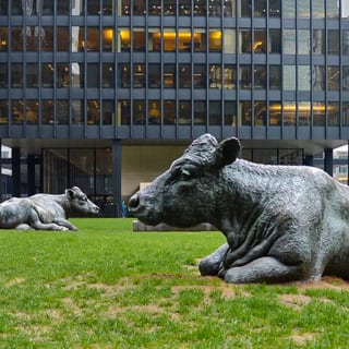 Financial District and City Halls: An audio tour of Toronto's seminal buildings 3