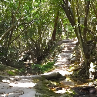 Kleine Gruppenwanderung nach Lai Chi Wo 5