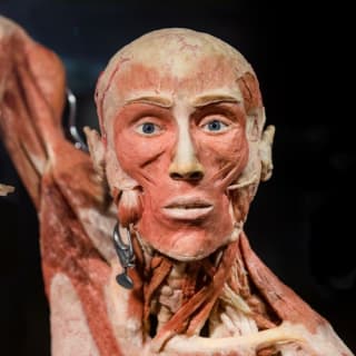 BODY WORLDS - Het geluksproject: Sla de rij over 15