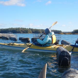 Oyster Farm & Complimentary Tasting Sea Kayak Tour in Casco Bay 7