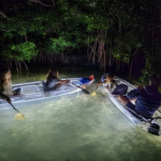 Clear Kayak LED Night Glass Bottom Tour - Siesta Key, FL 1