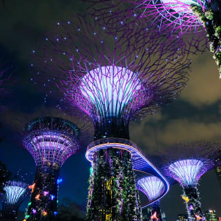Marina Bay Night Cycling Tour 3