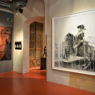 Entrades per al Museu Europeu d'Art Modern 1