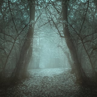 Sleepy Hollow Bar: A Spectral Cocktail Experience 1