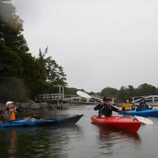 Oyster Farm & Complimentary Tasting Sea Kayak Tour in Casco Bay 9