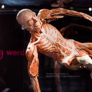 BODY WORLDS - Het geluksproject: Sla de rij over 20