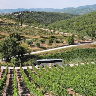 Regione del Chianti: Gita di un giorno da Firenze + Tour dei vigneti 4