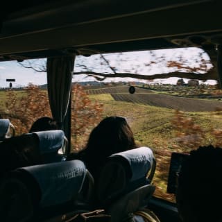 Colline del Chianti: Experiencia enológica desde Florencia 34