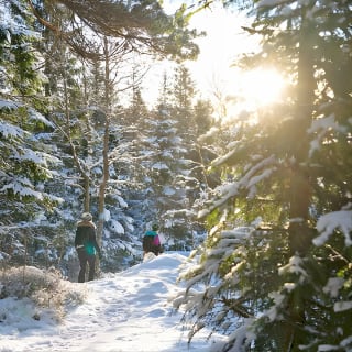 4 hours Winter View of the Oslofjord Walk Tour  6