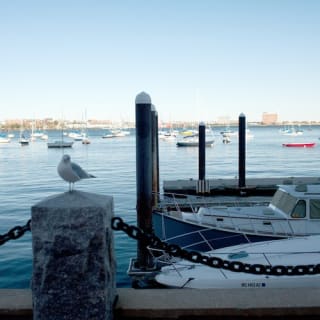 Boston: Seafood Lovers Tour 4