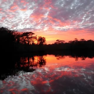 Waccamaw River Nature and Wildlife Tour 6