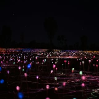 Field of Light Uluru: General Admission + Transfer 7