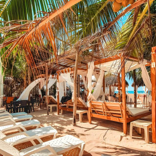 Tour Semi-Privado de 7 Horas en Playa Blanca, Barú - Cartagena 5
