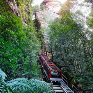 Blue Mountains & Sydney Zoo: Tour di un giorno da Sydney 35