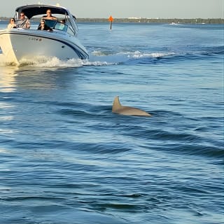 Private ONLY Dolphin Boat Tours 3