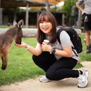 Blue Mountains & Sydney Zoo: Tour di un giorno da Sydney 36