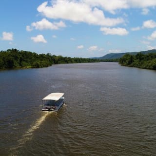 Ultimate Daintree Rainforest Wildlife Experience Cruise 1