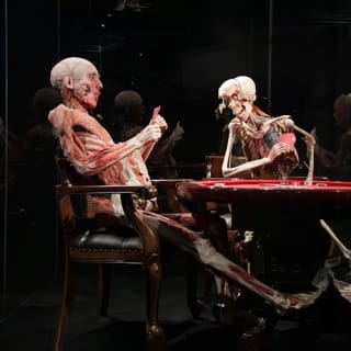 BODY WORLDS - Het geluksproject: Sla de rij over 29