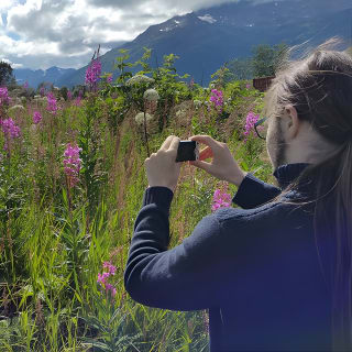 Afternoon Wilderness, Wildlife, Glacier Experience from Anchorage 7