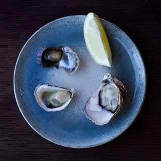 Broken Bay Pearl & Oyster Farm Tour 3