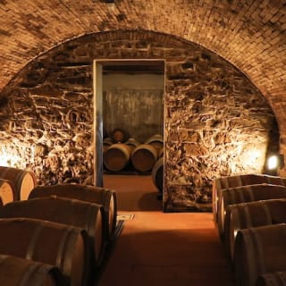 Regione del Chianti: Gita di un giorno da Firenze + Tour dei vigneti 7