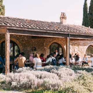Colline del Chianti: Experiencia enológica desde Florencia 38