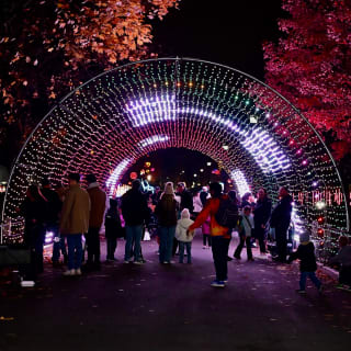 Westchester's Winter Wonderland 2026 5