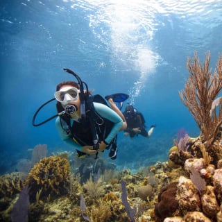 BARCELONA: BAUTIZO DE BUCEO - Sumérgete y vive la experiencia bajo el agua - 2h 1