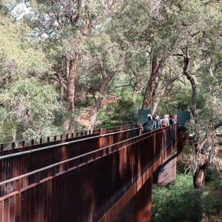 Kings Park Botanicals And Beyond 1