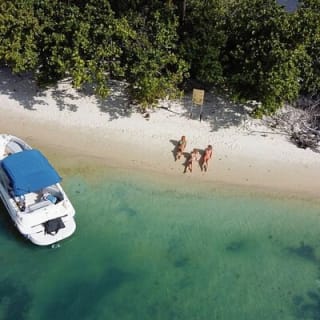 26Ft Miami Private Boat Tour for 11 ppl, 2 & 4 Hrs Free Champagne 17