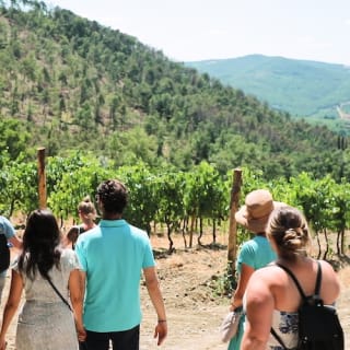 Regione del Chianti: Gita di un giorno da Firenze + Tour dei vigneti 8