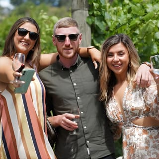 Tour del vino pressoché invertito: vino, gin, sidro e altro 9