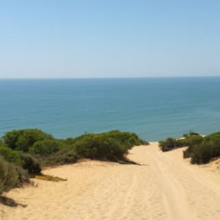 Doñana national park and El Rocío: excursion from Seville 11
