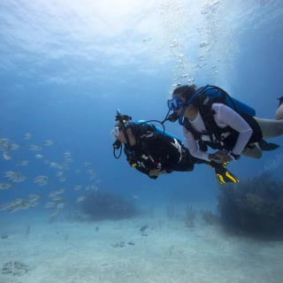 BARCELONA: BAUTIZO DE BUCEO - Sumérgete y vive la experiencia bajo el agua - 2h 3
