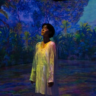 Monet Inside, 2026: Una Exposición Inmersiva 3