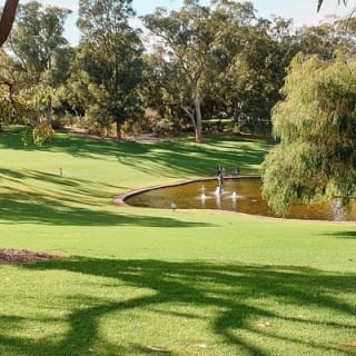 Kings Park Botanicals And Beyond 2