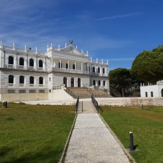 Doñana national park and El Rocío: excursion from Seville 12