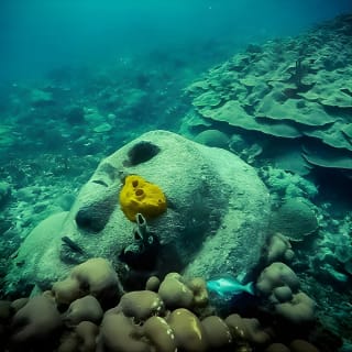 Bajo un mar de aventuras, inmersiones inolvidables. 17