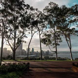Kings Park Botanicals And Beyond 3