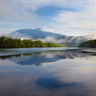 Daintree River 'Dawn' Cruise with the Daintree Boatman 5