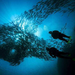 BARCELONA: BAUTIZO DE BUCEO - Sumérgete y vive la experiencia bajo el agua - 2h 5