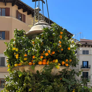 Soller Valley Walk with Orange Farm Visit 22