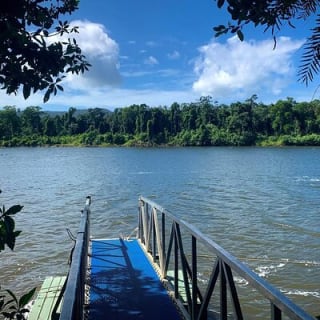 Ultimate Daintree Rainforest Wildlife Experience Cruise 10