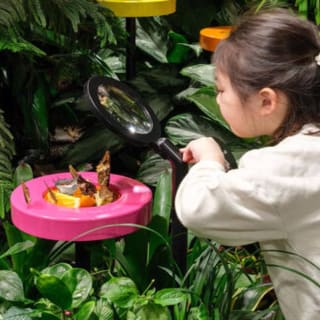 American Museum of Natural History +&nbsp;Davis Family Butterfly Vivarium 1