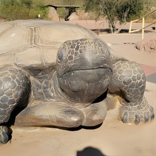 Discover Phoenix! Giro turistico 14