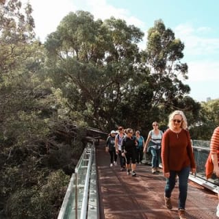 Kings Park Botanicals And Beyond 5