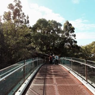 Kings Park Botanicals And Beyond 6