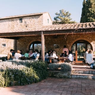 Colline del Chianti: Experiencia enológica desde Florencia 43