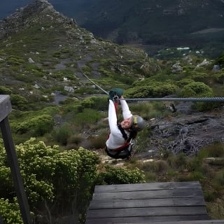 Zipline Cape Town - From Foot of Table Mountain Reserve  3