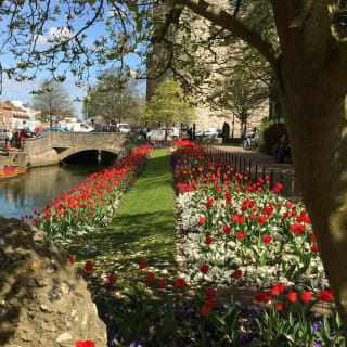 Canterbury Audio Tour: From Cathedral Stones to Cultural Thrones 7
